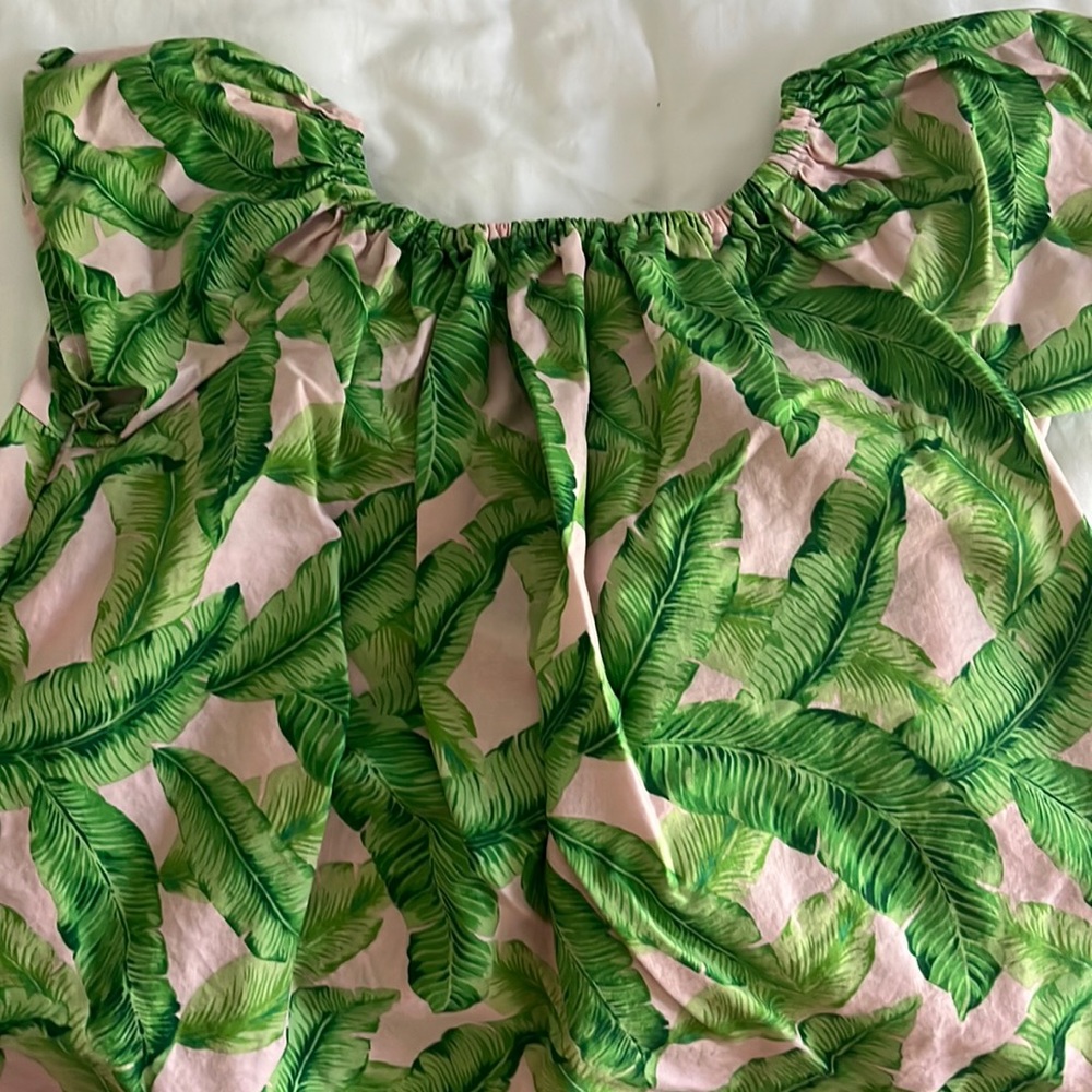 Fun Palm Tree Top